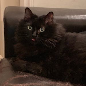 Meet your Posher, Ben